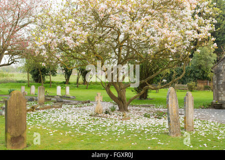 St John's sagrato, Hale. Foto Stock