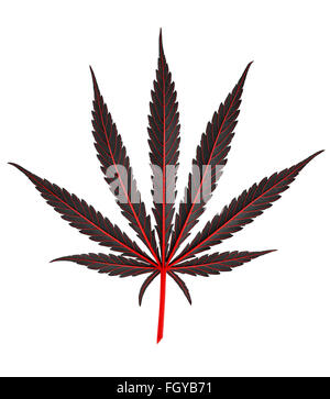Nero foglia di cannabis con foglia principale vene isolato rosso su bianco Foto Stock