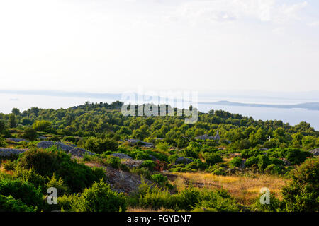 Isola di Hvar,mura antiche aziende,Lukavci,isole di Scedro nella nebbia sugli approcci alla citta di Hvar sotto,Costa Dalmata,CROAZIA Foto Stock