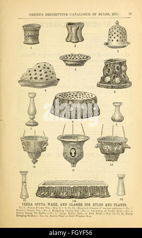 Dreer il catalogo descrittivo dei bulbi, piante, ecc Foto Stock