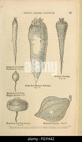 Dreer giardino del calendario 1868 Foto Stock
