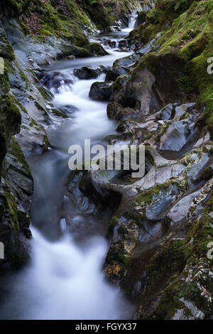 Mill Beck fluisce attraverso di latifoglie vicino bosco Buttermere village, Lake District, Cumbria, England, Regno Unito Foto Stock