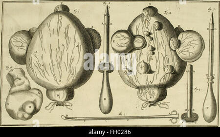 Istituzioni de chirurgie, oC3B9, L'su traite dans un ordre clair et nouveau de tout ce qui a rapport un cet arte - ouvrage de prC3A8s de quarante ans, OrnC3A9 d'onu grand nombre de figure en taille-douce, qui Foto Stock