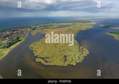 Vista aerea, Isola Grande Kirr, Barth Bodden, Zingst, Mar Baltico, Meclenburgo-Pomerania Occidentale, Germania, Europa, vista aerea, Foto Stock