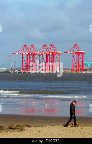 Liverpool dock e banchine e nuovo contenitore gru in posizione sul fiume Mersey, REGNO UNITO Foto Stock