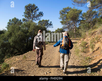 Escursionismo, Montes de Málaga foresta, Costa del Sol. Andalusia Spagna meridionale Foto Stock