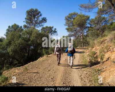 Escursionismo, Montes de Málaga foresta, Costa del Sol. Andalusia Spagna meridionale Foto Stock