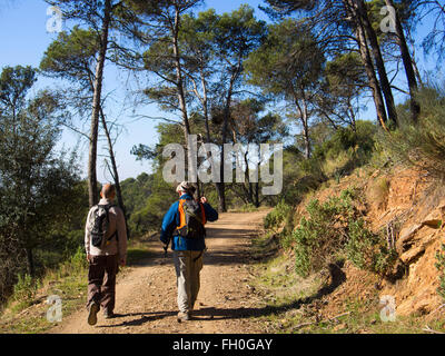 Escursionismo, Montes de Málaga foresta, Costa del Sol. Andalusia Spagna meridionale Foto Stock