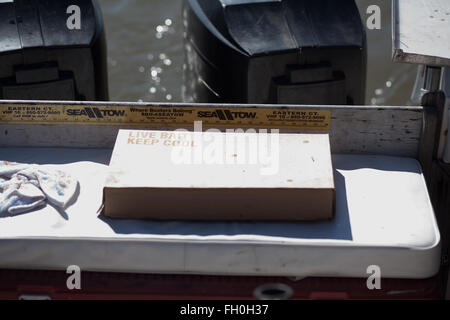 Una scatola di esche vive su una barca da pesca Foto Stock