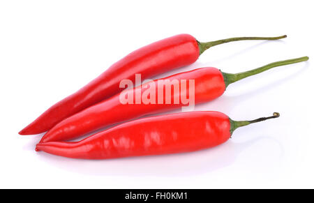Peperoncino rosso su sfondo bianco Foto Stock