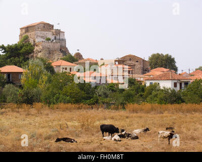 La chiesa, panagia glykophilousa, PETRA, LESBO island, a nord-ovest del mar Egeo, in Grecia, in europa Foto Stock