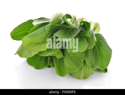Cavolo cinese ortaggio su sfondo bianco Foto Stock
