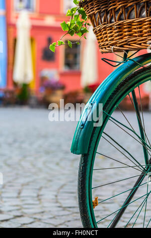 Fiori su una bicicletta Foto Stock