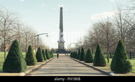 Monumento Nelson, a 44m alto obelisco disegnato da David Hamilton e eretto nel 1806, nel verde di Glasgow, Glasgow, Scotland, Regno Unito Foto Stock