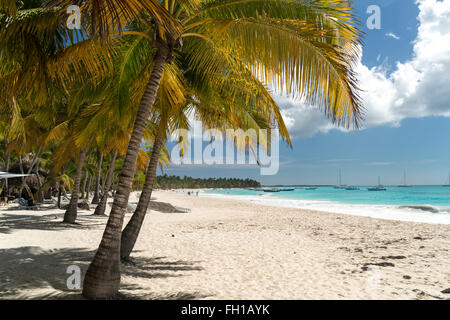 Sogno spiaggia sull'isola caraibica di Isla Saona, Repubblica Dominicana, Caraibi, America, Foto Stock