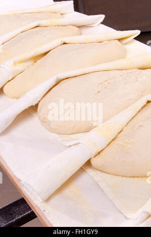 Pasta di pane lasciata salire prima di essere cotti al forno Foto Stock