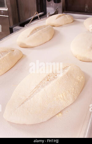 Pasta di pane lasciata salire prima di essere cotti al forno Foto Stock