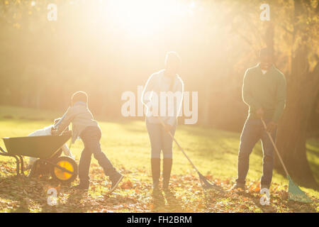 Famiglia giovane raccogliere le foglie Foto Stock