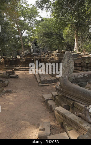 Alberi che crescono sulle rovine della Beng Mealea (o tappo) mealea tempio, Cambogia, in Asia. Foto Stock