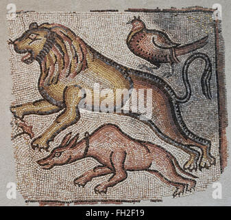 Mediterraneo orientale mosaici romani di animali, v - VI secolo a. Tre animali sono in gara, un cane, un leone e un fagiano Foto Stock