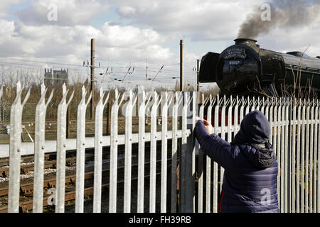 York, Regno Unito. Il 23 febbraio, 2016. Uno spettatore guarda come il recentemente ristrutturato LNER A3 locomotiva classe "Flying Scotsman" si prepara per il viaggio da York a Scarborough su una prova finale eseguire prima la sua rimonta inaugurale viaggio da Londra King Cross a York giovedì 25 febbraio. La locomotiva, proprietà del National Railway Museum (NRM), è stato completamente restaurato con un costo di £ 4,2 milioni e oltre ad una nuova mostra presso la NRM è York ubicazione verrà alaggio treni speciali in tutto il Regno Unito nei prossimi mesi. Credito: David soulsby/Alamy Live News Foto Stock