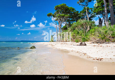 Vista della spiaggia Laxmanpur In Neil Island, Andaman e Nicobar, India Foto Stock