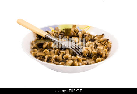 Marinata di miele fungo Foto Stock