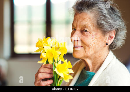 Senior donna dalla finestra azienda mazzo di narcisi Foto Stock