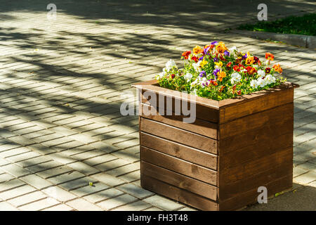 Città aiuola di legno Foto Stock