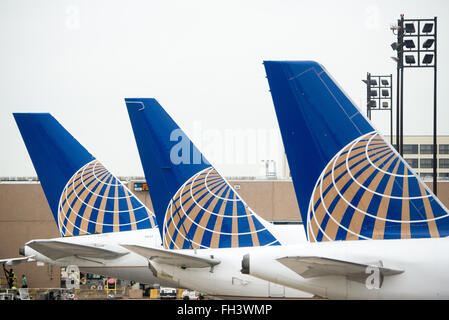 United Airlines Airplane Tails al gate dell'aeroporto / United Airlines Airplane Tails al gate dell'aeroporto // Una fila di tre code di aerei United Airlines allineati al gate di un aeroporto. Ogni coda ha il nuovo logo United dopo la fusione con Continental Airlines. Foto Stock