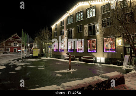 Cigni e oche sulla congelati lago Tjornin, Reykjavik City Hall. Reykjavik, Islanda. Foto Stock