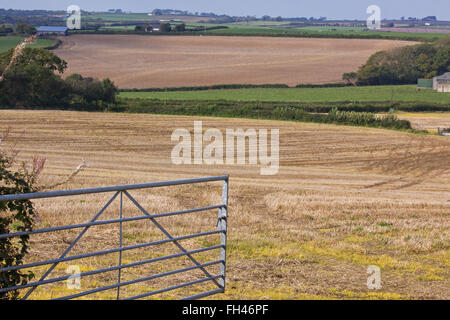 Apertura del gateway su terreni coltivati nel Devon, Inghilterra Foto Stock