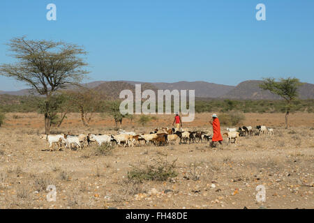 Gruppo di unidentified popolo africano da Samburu tribù, prendendo cura del bestiame Foto Stock