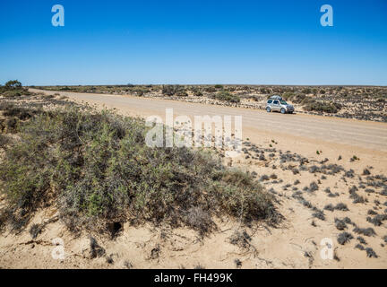 Deserto Strzelecki panorama visto da Strzelecki via in Sud Australia Foto Stock