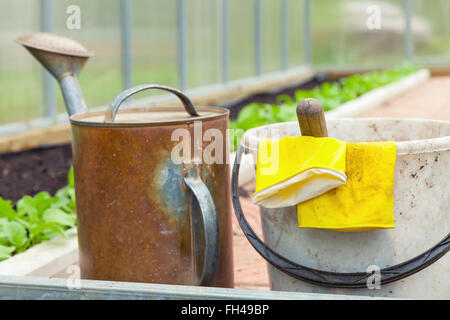 Attrezzi Agricoli. Annaffiatoio, benna, giallo guanti di gomma in una serra Foto Stock