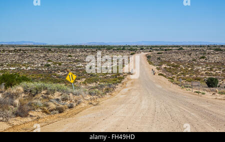 Deserto Strzelecki panorama visto da Strzelecki via in Sud Australia Foto Stock