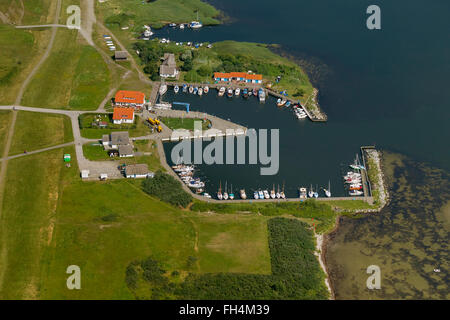 Vista aerea, porto baltico Neuendorf Hiddensee, barche a vela, Hiddensee, Mar Baltico isola, Meclenburgo-Pomerania Occidentale, Germania, Europa Foto Stock