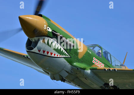 WWII Curtiss P-40 combattente di Warhawk Foto Stock