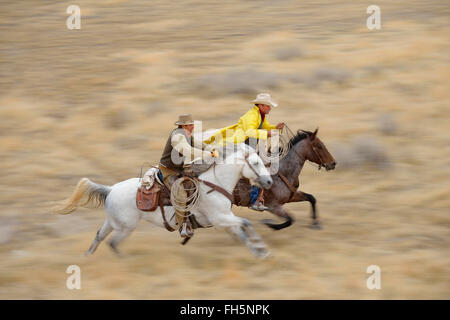 Movimento sfocate di cowboy su cavalli al galoppo nel deserto e montagne rocciose, Wyoming USA Foto Stock