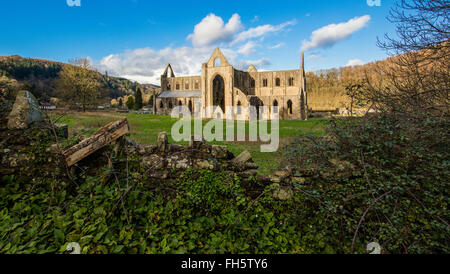 Tintern Abbey nella valle del Wye in Galles del Sud visto attraverso una apertura in una parete del campo Foto Stock