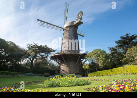 Regina Wilhelmina Mulino a vento olandese e Tulip Garden. San Francisco, California, Stati Uniti d'America. Foto Stock