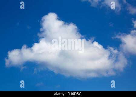 Unico grande cumulus cloud in Cielo di estate blu Foto Stock