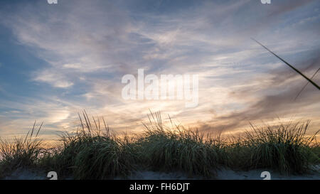 Sole che tramonta dietro le dune di sabbia coperte con la felce Foto Stock