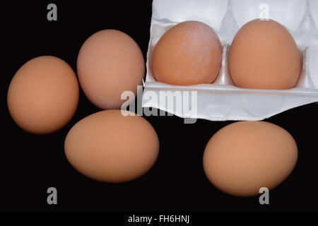 Rosolare le uova di gallina in contenitore in polistirolo espanso contro backgroud nero Foto Stock