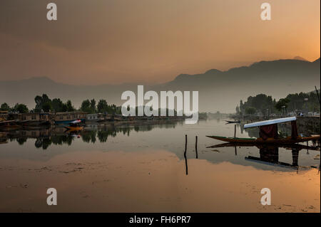 La mattina presto su dal lago, Srinagar Foto Stock