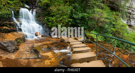 Un tranquillo sentiero passato cascate nel Parco Nazionale Blue Mountains, Nuovo Galles del Sud, Australia. Foto Stock