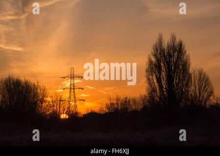 Tottenham paludi, Londra, Regno Unito. Il 24 febbraio, 2016. Un luminoso e chiaro e ancora vede sunrise Tottenham paludi sotto uno strato di brina durante un freddo snap. Credito: Patricia Phillips/Alamy Live News Foto Stock