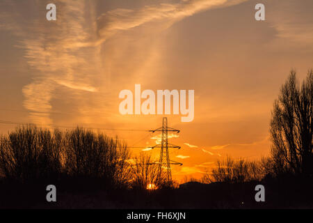 Tottenham paludi, Londra, Regno Unito. Il 24 febbraio, 2016. Un luminoso e chiaro e ancora vede sunrise Tottenham paludi sotto uno strato di brina durante un freddo snap. Credito: Patricia Phillips/Alamy Live News Foto Stock