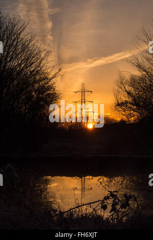 Tottenham paludi, Londra, Regno Unito. Il 24 febbraio, 2016. Un luminoso e chiaro e ancora vede sunrise Tottenham paludi sotto uno strato di brina durante un freddo snap. Credito: Patricia Phillips/Alamy Live News Foto Stock