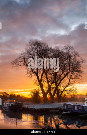 Alba sul Rufford, Burscough, Preston, Lancashire, Regno Unito 16 Febbraio, 2016. Regno Unito Meteo. Un molto freddo e gelido inizia con abbondanza di sole a venire per houseboats residenti presso il St Mary's Marina, situato in una bellissima zona tranquilla di Rufford ramo del Leeds - Liverpool Canal. Foto Stock